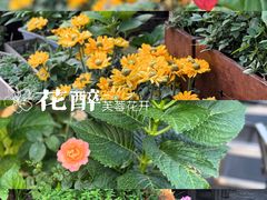 -听香·678茶铺(猛追湾店)