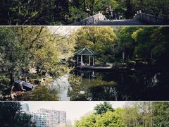 -新虹桥中心花园
