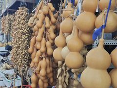 -中环花鸟鱼虫市场