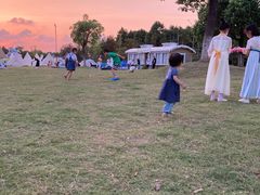 -上海长兴岛郊野公园