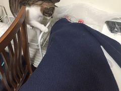 -曹树华专业无痕织补