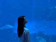 -南昌融创海世界