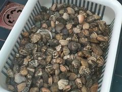 -东戴河风景区-止锚湾