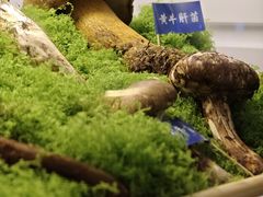 黄牛肝菌-束河人家(南锣鼓巷店)