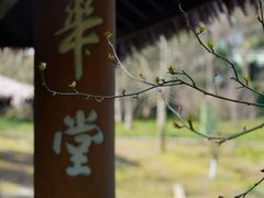 -一江春水·杭帮臻宴(三台山店)