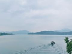 -杭州西湖柳莺里酒店
