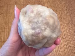 八宝粘豆包-宫门口馒头铺(创始人总店)