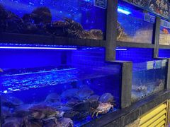水产区-苏福记·海鲜佬(凤城四路店)