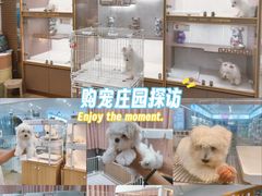 -翊宠yipet猫狗购宠庄园犬舍•猫舍