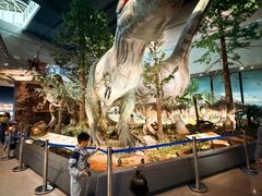 -湖南省地质博物馆