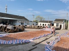 -苏州市吴中区光福窑上花果蜜饯厂