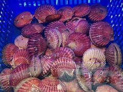 -悦海·家宴·冰花皮皮虾大锅贴(宝龙店)