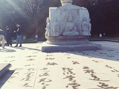 -木塔寺遗址生态公园