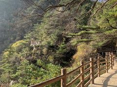 -老君山风景名胜区