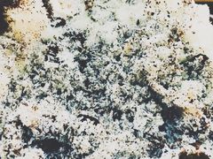 -雪花姐姐(泰华城新天地店)