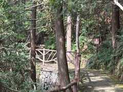 -云中大漈