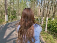 -合肥滨湖国家森林公园