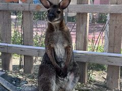 -水上乐园·欢乐世界