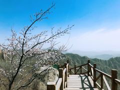 -大岭沟猕猴桃谷风景区