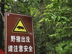 -紫金山山顶公园