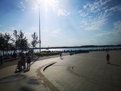 -丁香湖公园