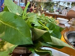-岳记兴隆·青城腊排铜火锅(融创店)