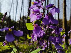 -停车场(临桂路)