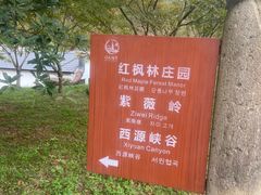-五泄景区
