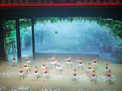 -中央芭蕾舞团·中芭艺蕾(酒仙桥明星校区)