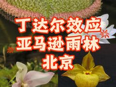 -北京植物园-展览温室