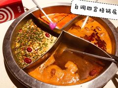 -海底捞火锅(公益西桥店)