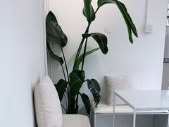 -收获咖啡HARVEST RESERVE(苍山店)