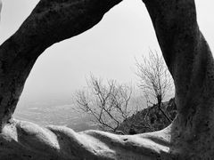 -北京西山国家森林公园