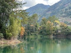 -广州市流溪河国家森林公园