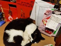-樱の花亭日本料理店