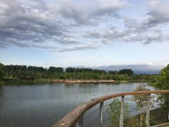 -东郊湿地公园