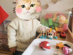 -YoKID优儿学堂早教托育园(常营托育园)