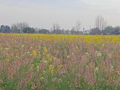 -中国天府农业博览园