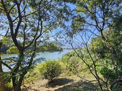 -福建鲤鱼洲酒店