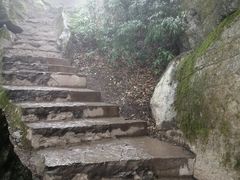 -梦幻奥陶纪景区