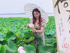 -七的湖·晚芳亭·阳澄湖农家菜·大闸蟹(莲花岛店)