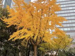 -静安公园(静安寺街道)
