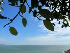 -小媳妇甜汤(苏峰街店)