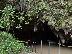 -怀托摩萤火虫洞