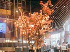 大堂-九井澤精致料理(金茂店)