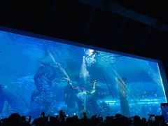 -哈尔滨波塞冬海底世界