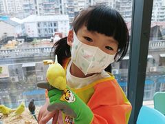 -怪兽屋·羊驼·猫咖·狗咖(俊华广场店)