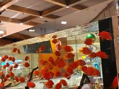 -怡咖啡海鲜自助餐厅(浦东香格里拉店)