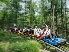-沂蒙山旅游区云蒙景区(蒙山国家森林公园)