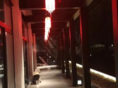 -禧宴Joyous Restaurant(禧园店)